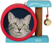 Hallmark Keepsake Christmas Ornament 2023, Purr-FECT Christmas Photo Frame, Cat Picture Gifts