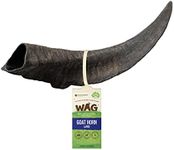 Large Goat Horn 1 Pack, Natural Australian Made Long Lasting Dog Treat Chew, Perfect for Large Breeds