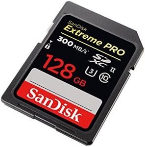 SanDisk Ex