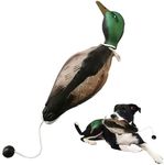 Duck Dog Toy, Dog Dummy EVA Realistic Waterproof Bite Resistant Anti-Chewing Dog Training Dummy with Throwing Toggle Lightweight Dog Training Fake Duck for Puppies Dogs