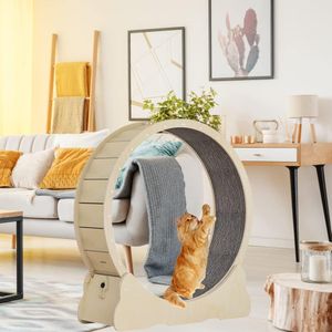 Keyzone XL Cat Exercise Wheel – Indoor Pet Running Toy