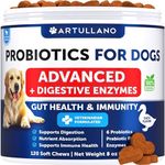 Probiotics for Dogs - Support Gut H