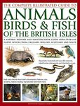 The Complete Illustrated Guide to Animals, Birds & Fish of the British Isles: A Natural History and Identification Guide with Over 440 Native Species from England, Ireland, Scotland and Wales