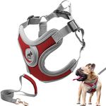 SAEGYPET Dog Harness with Leash Set, No Pull Adjustable Step in Dog Collars Harness with Breathable Padded Puppy Harness for Small Medium Large Dogs Training and Running (Red, M)