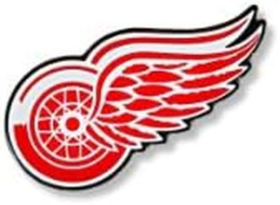 NHL Detroit Red Wings Team Logo Pin