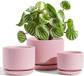 LE TAUCI Ceramic Plant Pots, 4.3+5.