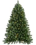 WeRChristmas Pre-Lit Wall Mounted Christmas Tree with 50 Warm White LED Lights - 3 feet/0.9 m, Green