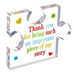 Partideal Teacher Leaving Presents for Colleagues Women Men,Thank You Acrylic Block Puzzle,Teacher Leaving Present Retirement Presents Daycare Teacher Presents,Ideal Student Teacher Presents