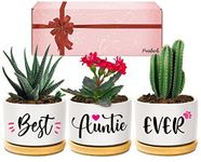 Auntie Gifts, Auntie Birthday Gifts from Niece or Nephew, Best Auntie Ever Succulent Planters, Mothers Day Birthday Gifts for Auntie, Special Presents for Auntie on Mother's Day Birthday Christmas