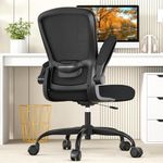 Office Chair, Ergonomic Desk Chair with Adjustable Lumbar Support & Seat Height, High Back Mesh Computer Chair with Flip-up Armrests Task Chairs (Modern, Black)