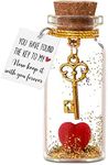 Anniversary Wedding Bottle Romantic Gift for Boyfriend Girlfriend, I Love You Gifts, You Hold the Key to My Heart Handmade Creative Decorative Bottle, Valentine’s Day Christmas Birthday Ornament Gift