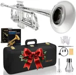 AKLOT Hand-Hammered Bell Bb Trumpet: Smooth Valve Action, Clear-Lacquered Brass Body, Standard Trumpet Beginner Set with Leather Case, Lesson Book, Trumpet Mute, Mouthpiece, Cleaning Kit (SNR-BrzSS)