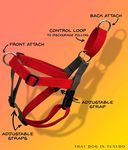 That Dog In Tuxedo Little Stuart Checkered Step in Dog Harness (Size M)