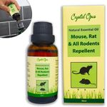 Makes 10+ litres of Mouse, Rat & All Rodent Repellent Spray. Peppermint Oil Based. Tried & Trusted. Including Eucalyptus, Citronella, Lemon, Chilli, Lavender & Clove. Ultra-Effective Safe Deterrent.