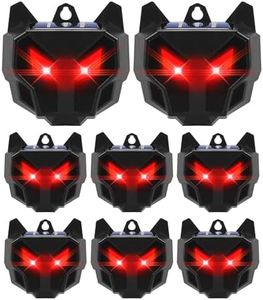 8 Pack Coy