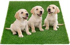 Oiyeefo Fake Grass Pee for Dog Large Artificial Grass Rug Pad for Puppy Potty Washable Grass Mat for Pet Training with Drainage Hole and Easy to Clean (51.1x31.8Inches)