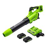 Greenworks 2 x 24V (48V) Axial Blower, (2) 2Ah USB Batteries and 4A Dual Port Charger Included