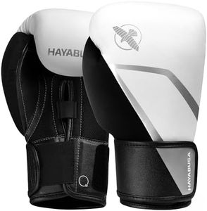 Hayabusa E