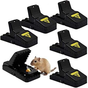 Mouse Trap