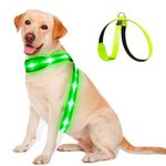 PZRLit Light Up Dog Vest Harness Rechargeable, Reflective LED Lighted Dog Harness, Glow Dark Dog Light Harness for Camping Night Safety Walking-Green, Large