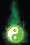 Cannabis Journal: Marijuana Strain Tracker and Review Logbook / Notebook / Diary - Green Smoke Yin Yang Marijuana Leaf Cover