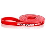 DYNASQUARE Resistance Bands, Pull Up Bands, Heavy Duty Exercise Bands for Body Streching, Powerlifting, Resistance Training, Single Band