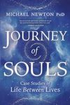 Journey of Souls: Case Studies of L