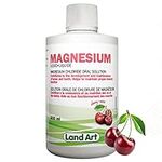 Liquid Ionic Magnesium Supplement 500ml – Maximum Absorption - Vegan - Non-GMO - Gluten Free - Sugar Free - Made in Canada