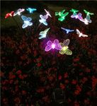 GIGALUMI GL-910 8 LED Solar Butterfly String Light with 2V Panel 600mAh Battery BIS Approved IP65 Waterproof Fairy Lamp for Wedding Lawn Garden Yard Patio Decoration (1Pc, Multicolor)