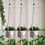 ecofynd Macrame Plant Hanger, Flower Pot Holder, Ivory, 39 inches, Pack of 3