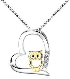 Jewellery for Women Gifts for Girls Neckalce Pendant for Women 925 Sterling Silver Two Tone Owl Heart Chain for Women 46cm Gifts for Women Gift Packaging