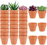 30 Pcs Mini Terracotta Pot Clay Pot