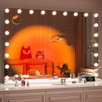 Hasipu 41" x 30" Vanity Mirror with