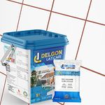 Delgon Laticare Premium Epoxy Grout for Tiles EG-100 (5kg) (Dusty Red - 19)