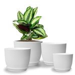 MUAEEOK 4 Pack Plant Pots with Drainage 25/23/20/16CM Home Decor Flower Pots for Indoor Planter - Pack of 4 Plastic Planters, Cactus, Succulents Pot Indoor (White)