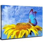 Sunflower Wall Art Bathroom Decor Butterfly Pictures Blue Sky Nature Landscape Canvas Prints Kitchen Sunflower Painting for Living Room Artwork Yellow Floral Posters Bedroom Home Decorations 12x16"