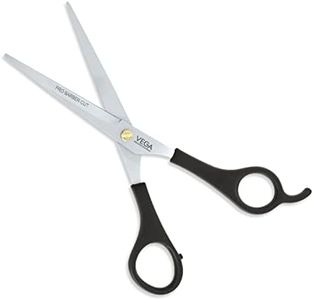 VEGA PROFE
