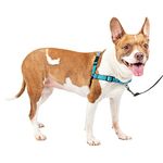 PetSafe Easy Walk Deluxe Harness, No-Pull Walking Harness for Dogs, Padded Design, Includes 1.8m Lead, Medium-Ocean Blue/Black Lead