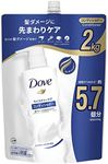 Dove Conditioner Treatment, Large C