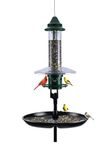 Squirrel Buster Plus Podium, Ultimate Squirrel-Proof Bird Feeding Station, Includes Plus Bird Feeder, Weather Guard, Pole Adaptor, BirdsUP Single Pole and Seed Catcher Tray