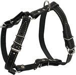 Real Leather Dog Walking Harness Medium Black, 21" - 26" Chest