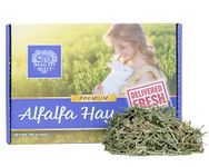 SMALL PET SELECT Alfalfa Hay, 0.91kg (2lb)