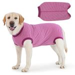 Cyponpy Dog Recovery Suit Post Op with Top Zip Dog Surgical Recovery Suit Female Male Dog Vest Body Suit for Dogs After Surgery Dog Onesie Medical Vest for Small Medium Large Dogs Cone Alternative