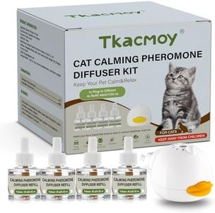 Cat Calmin