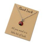 WUSUANED Good Luck Ladybug/Butterfly/Elephant Necklace Lucky Animal Charms Jewelry With Wish Cards Gift For Women Girls (Ladybug necklace silver)