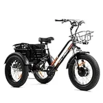 DWMEIGI 3 Wheel Electric Bike for A