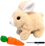 LYINUR Interactive Rabbit Toy with 