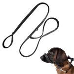 Dog Leash For Pullings