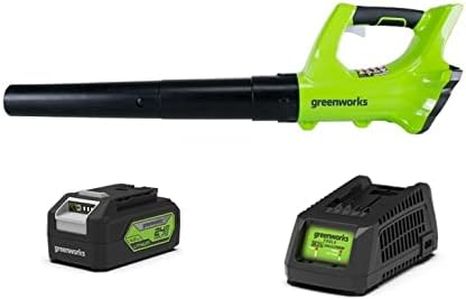 Greenworks 24 V Blower Kit with 4Ah Battery and Fast Charger