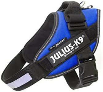 Julius-K9,